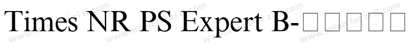 Times NR PS Expert B字体转换